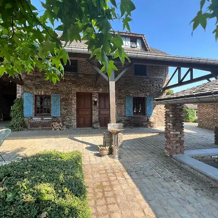 Le Teli Du Loup Dans La Taniere D'armand